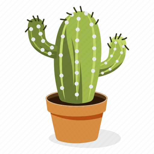Astrophytum plant, ecology, houseplant decoration, indoor plant, ornamental plant, potted plant icon - Download on Iconfinder