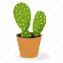 cactus, ecology, ferocactus plant, houseplant decoration, indoor plant, ornamental plant, potted plant