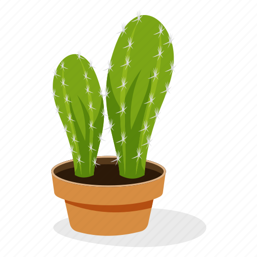 Cactus plant, ecology, houseplant decoration, indoor plant, ornamental plant, potted plant icon - Download on Iconfinder