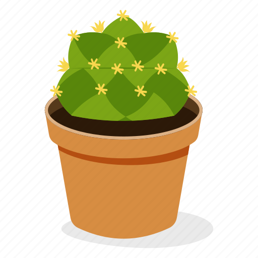 Ball cactus plant, ecology, houseplant decoration, indoor plant, ornamental plant, potted plant icon - Download on Iconfinder