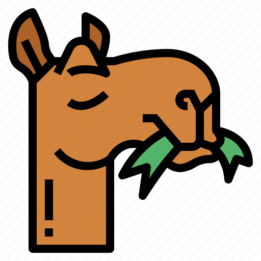Camel, zoo, animal, wildlife, eat icon - Download on Iconfinder