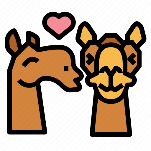 Camel, zoo, animal, wildlife, kiss, love icon - Download on Iconfinder