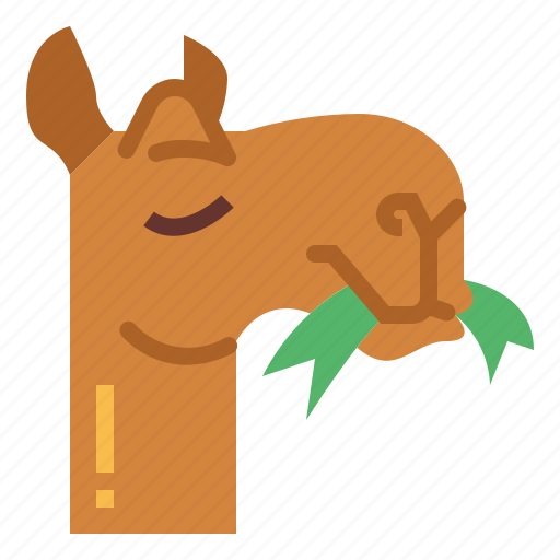 Camel, zoo, animal, wildlife, eat icon - Download on Iconfinder