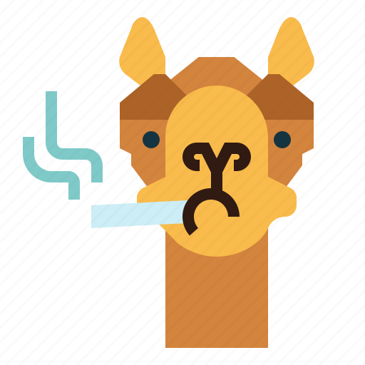 Camel, zoo, animal, wildlife, smoking icon - Download on Iconfinder
