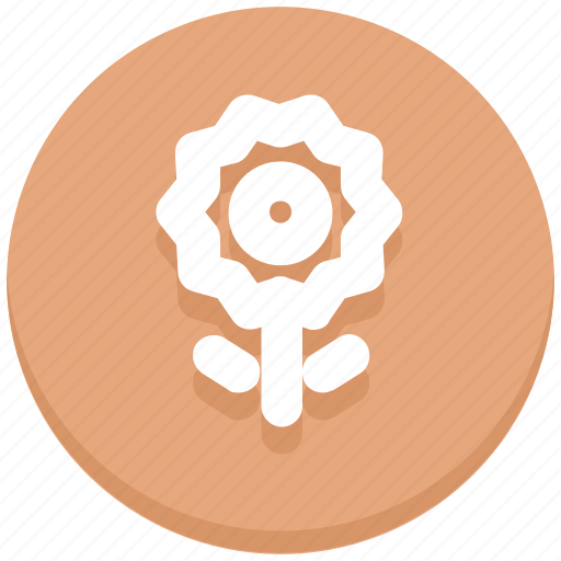 Camera, floral, flower, photo, plant icon - Download on Iconfinder