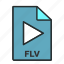 camera, codec, file, filled, flash video, format 