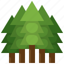 camping, pine, tree, nature, forest, wild