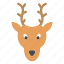 deer, holiday, animal, wild, zoo
