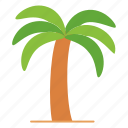 coconut tree, summer, travel, islands, sun