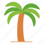 coconut tree, summer, travel, islands, sun 