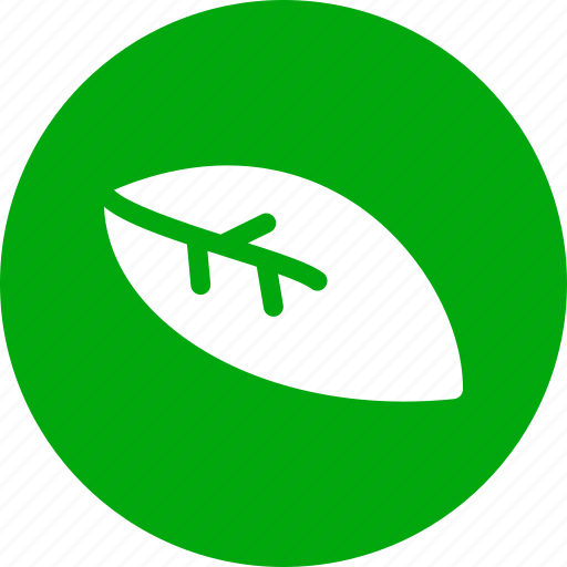 Green, leaf, nature, recycle icon - Download on Iconfinder