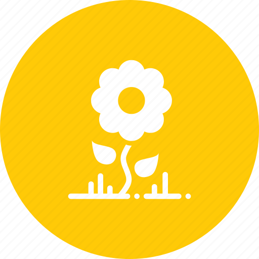 Ecology, environment, flower, garden, leaf, nature, sunflower icon - Download on Iconfinder