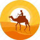 camel, ride, riding, animal, desert, horse, wild