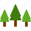 camping, ecology, forest, plant, scout, tree 