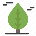 canada, leaf, plant