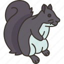 squirrel, rodent, animal, tree, park