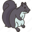 squirrel, rodent, animal, tree, park 