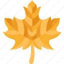 maple, leaves, autumn, plant, canada
