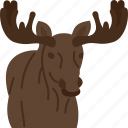moose, elk, antler, animal, wildlife