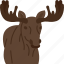 moose, elk, antler, animal, wildlife 