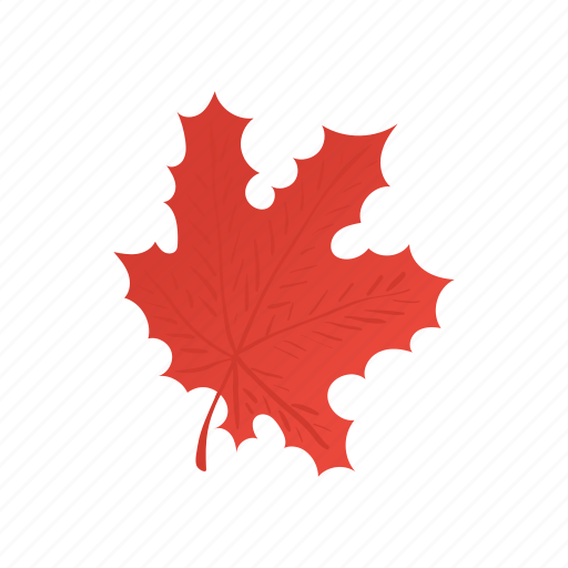 Canada, cartoon, color, design, leaf, maple, red icon - Download on Iconfinder