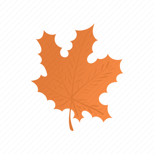 Canada, cartoon, color, design, leaf, maple, orange icon - Download on Iconfinder