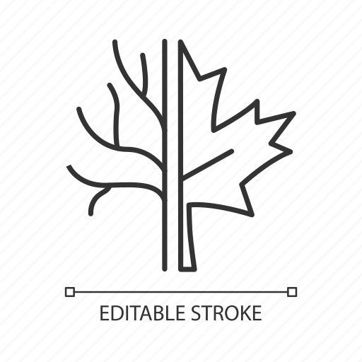 Canada, maple tree, canadian, national, official symbol, emblem icon - Download on Iconfinder