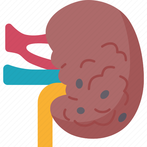 Kidney, cancer, renal, disease, abnormal icon - Download on Iconfinder