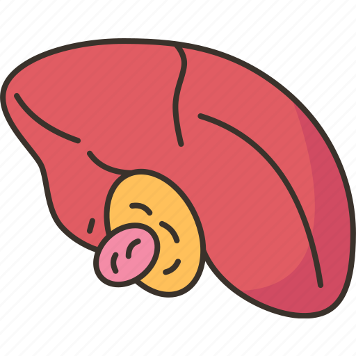 Gallbladder, cancer, gastrointestinal, health, medical icon - Download on Iconfinder