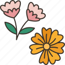 flower, dried, floral, decoration, design