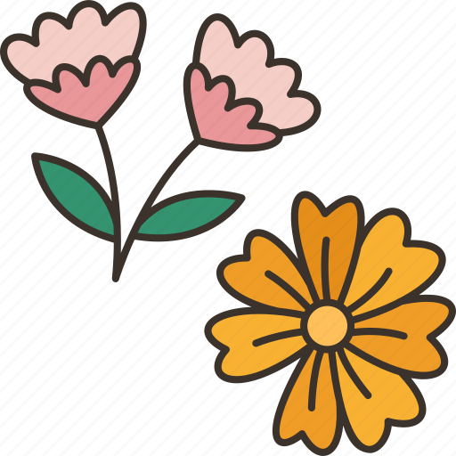 Flower, dried, floral, decoration, design icon - Download on Iconfinder