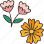flower, dried, floral, decoration, design 