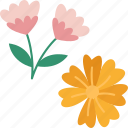 flower, dried, floral, decoration, design