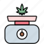 scale, weight, cannabis, cannabidiol, marijuana, weed, leaf 