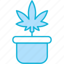 pot, plant pot, cannabis, marijuana, plant, nature, leaf