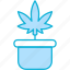 pot, plant pot, cannabis, marijuana, plant, nature, leaf 