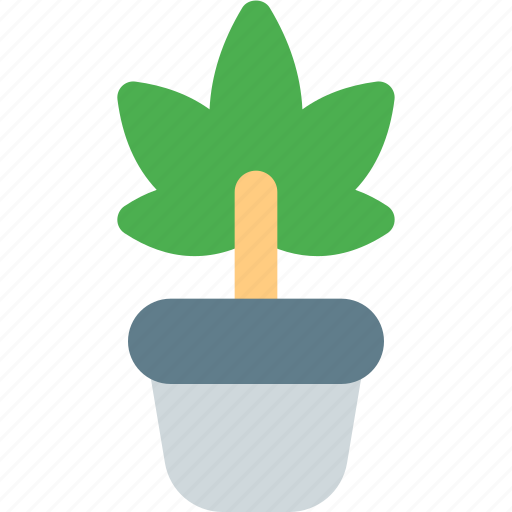 Ecstasy, plant, leaf icon - Download on Iconfinder