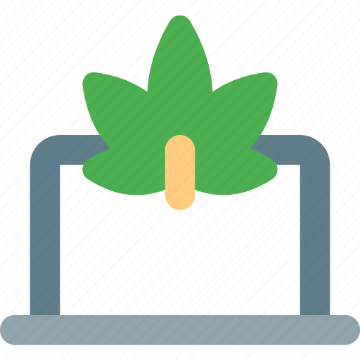 Laptop, cannabis, screen icon - Download on Iconfinder