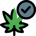 cannabis, checklist, cannabidiol
