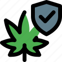 cannabis, protection, security