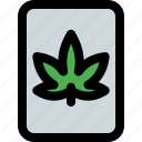 file, cannabis, cannabidiol
