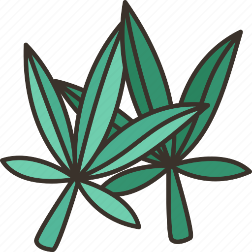 Hemp, cannabis, leaves, herbal, medicinal icon - Download on Iconfinder