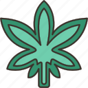 mold, plastic, leaf, cannabis, plant