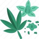 marijuana, cannabis, leaf, weed, narcotic