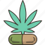 cannabis, cbd, capsules, herbal, pharmaceutical 