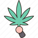 cannabis, cultivation, marijuana, plant, farming