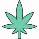 marijuana, cannabis, weed, pot, leaf