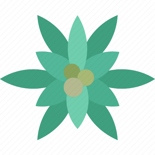 Cannabis, flower, marijuana, bud, weed icon - Download on Iconfinder