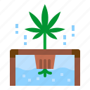 cannabis, grow, hydroponic, marijuana, plant