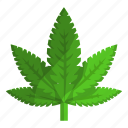 cannabis, marijuana, drug, hemp, plant, ganja, weed